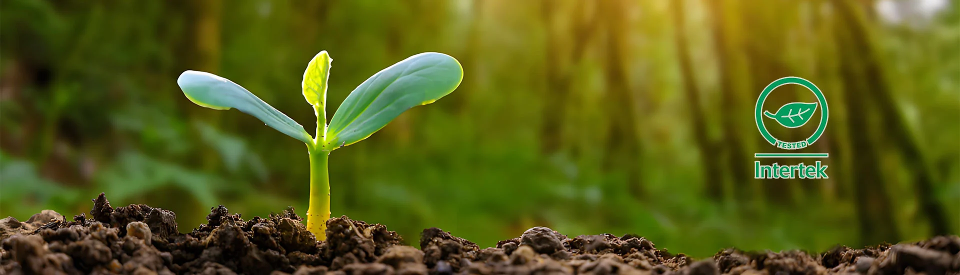 Onze bio-afbraak zonnebrandstofstof