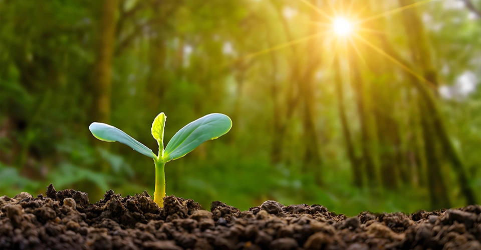 Onze bio-afbraak zonnebrandstofstof